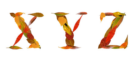 Capital letters made by autumn leaves の写真素材