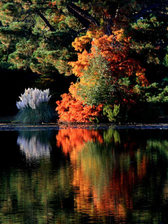 Autumn colours reflected in a lakeの写真素材