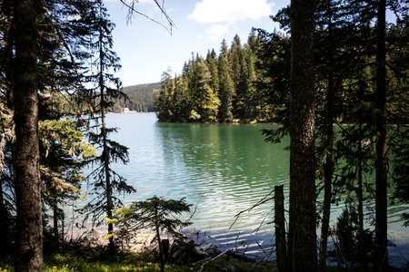 Black lake shoreの写真素材