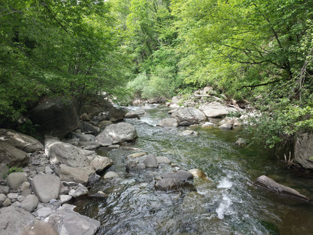 Beautiful river in the middle of the mountainsの写真素材