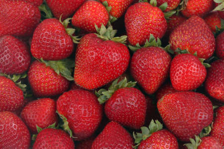 stawberryの写真素材
