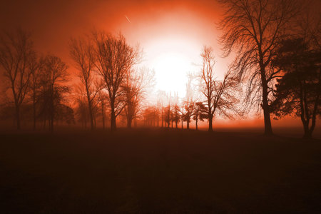 Burning off the early morning fogの写真素材