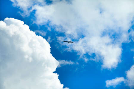 Blue sky and white cloudの写真素材