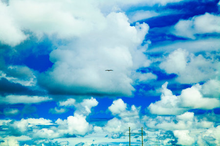 Blue sky and white cloudの写真素材