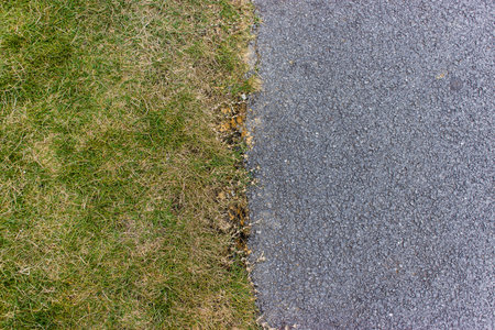 roadside close upの写真素材