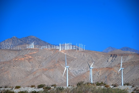 Lots of Windmill in a bright sunny dayの写真素材