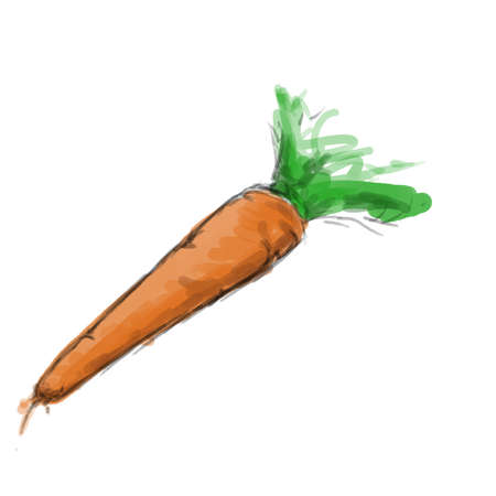 simple carrot illustrationの写真素材