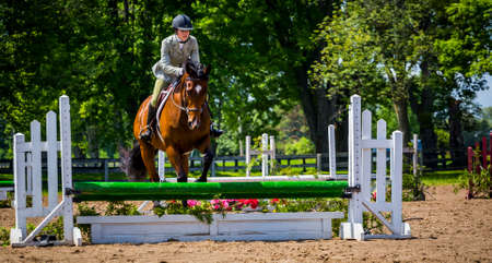 equestrian riding in hunter and jumper ringのeditorial素材