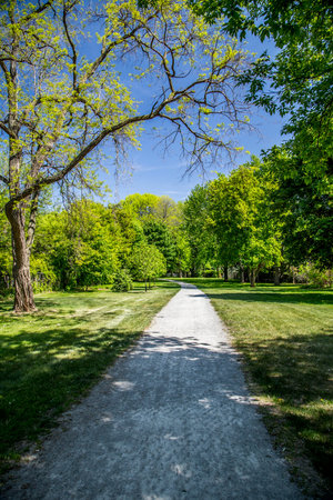 Scenic Pathway Outdoors