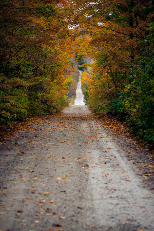 the view down a scenic country roadway in autumn landscape