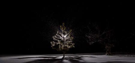 Dark and Snowy Winter Landscape at Night