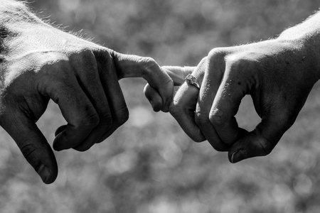Lover's Hands