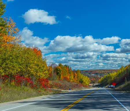 the view down a scenic country roadway in autumn landscapeの写真素材