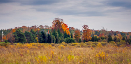 scenic view of rural countrysideの写真素材