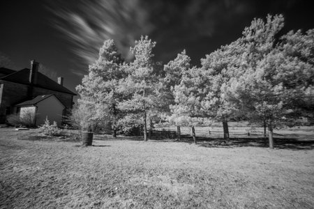 Artistic Infrared Landscape Viewの写真素材