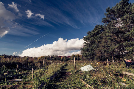 scenic view of rural countryside