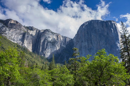 Yosemite National Park California, USA