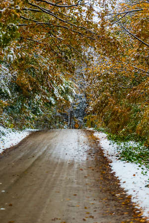 the view down a scenic country roadway in autumn landscapeの写真素材