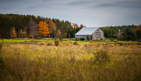 Old Wooden Barn in the Country