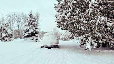 Rural Winter Countryside Viewの写真素材