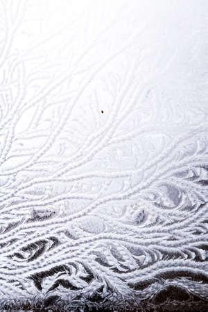 Abstract Frost Patterns on a Windowの写真素材