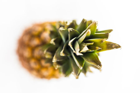 Closeup of Fresh Fruit in Bright Studio with a shallow depth of field.の写真素材