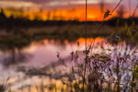 colorful rural sunset in late autumn seasonの写真素材