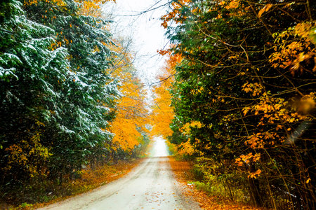 the view down a scenic country roadway in autumn landscapeの写真素材