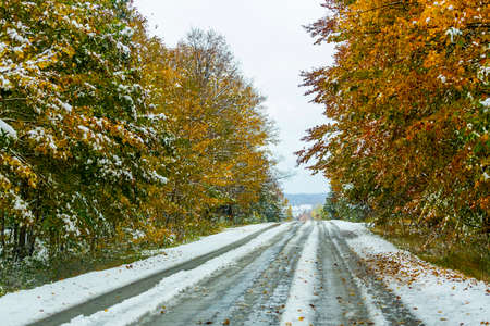 the view down a scenic country roadway in autumn landscapeの写真素材