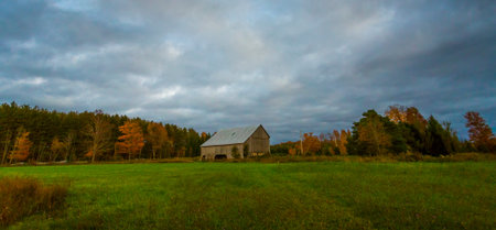 scenic view of rural countryside