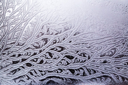 Abstract Frost Patterns on a Window