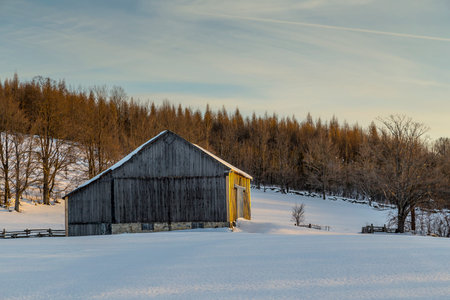 View of an Old Barn