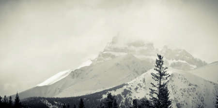 scenic view of Banff National park in Canadaの写真素材