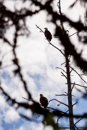 Okanagan Scenicsの写真素材
