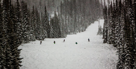 beautiful snowy winter landscape in BC Canadaの写真素材