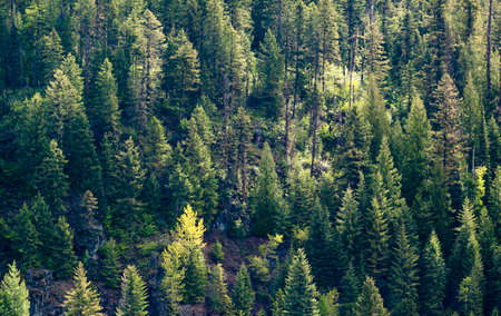 Okanagan Scenicsの写真素材