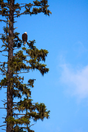 Okanagan Scenicsの写真素材