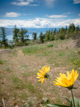 Okanagan Scenicsの写真素材