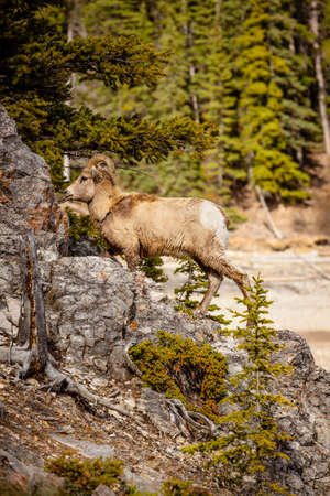 Okanagan Scenicsの写真素材