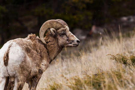 Okanagan Scenicsの写真素材