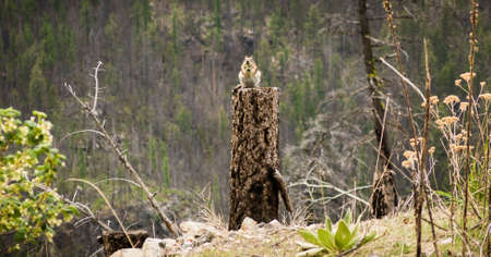Okanagan Scenicsの写真素材