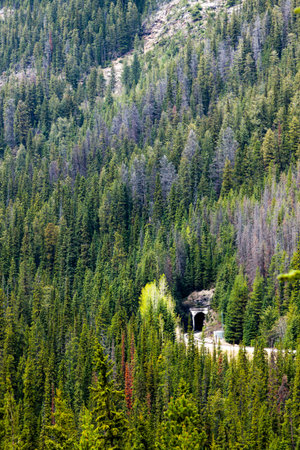 Okanagan Scenicsの写真素材