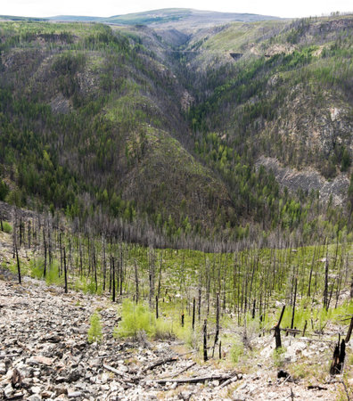 Okanagan Scenicsの写真素材