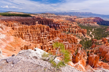 bryce canyon viewのeditorial素材