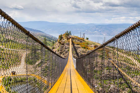 the view across a pedestrian suspension bridgeの写真素材
