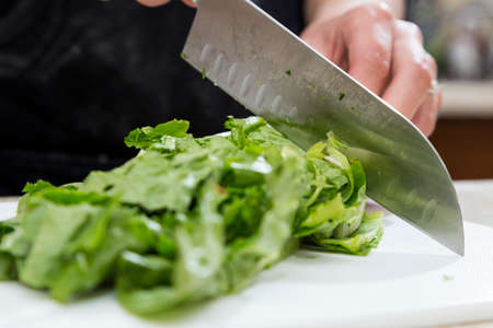 Cutting Lettuce for Salad at Homeの写真素材