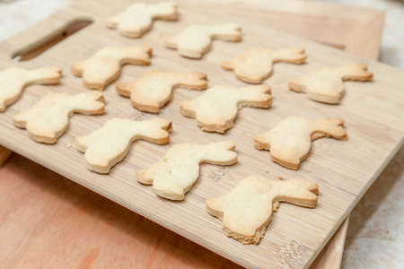 Bunny Rabbit Cookies Homestyle Bakingの写真素材