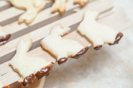 Bunny Rabbit Cookies Homestyle Bakingの写真素材