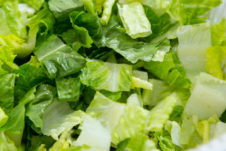 Cutting Lettuce for Salad at Homeの写真素材