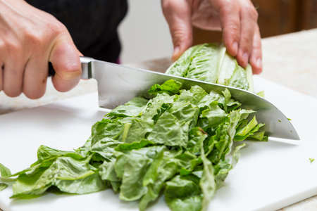 Cutting Lettuce for Salad at Homeの写真素材